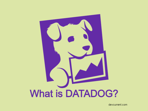 what is datadog